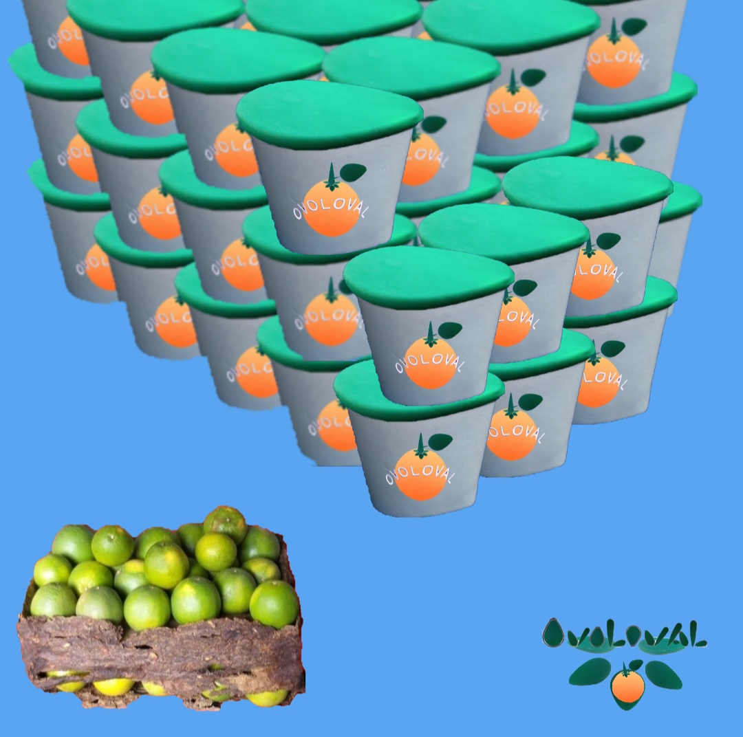 Ovoloval ©️ Ovoloval ©️